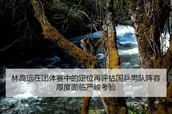 林高远在团体赛中的定位再评估国乒男队阵容厚度面临严峻考验