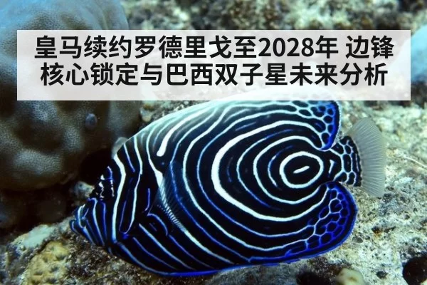 皇马续约罗德里戈至2028年 边锋核心锁定与巴西双子星未来分析